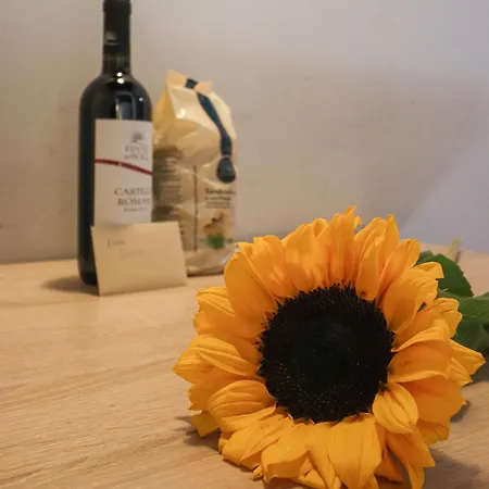 Ciambella Cozy Flat Rom