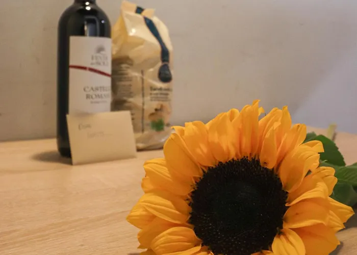 Ciambella Cozy Flat Rome